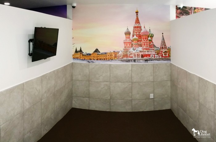 Moscow-701x460